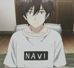 NaVInko