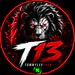 tommylee13th