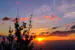 Blissfulsurrounds