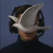 pazpeaceful1