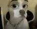 Glinted