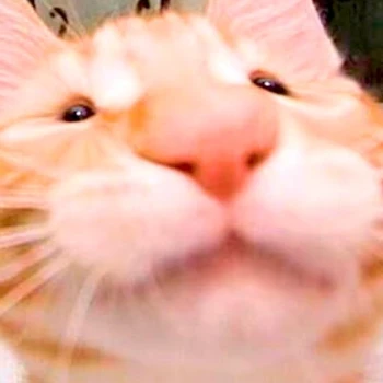 Yuniku