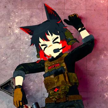 dr1fterfox