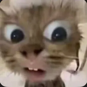 LEVItwk18