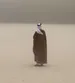 ibrahi7m7