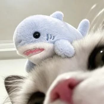 Cutie_meow