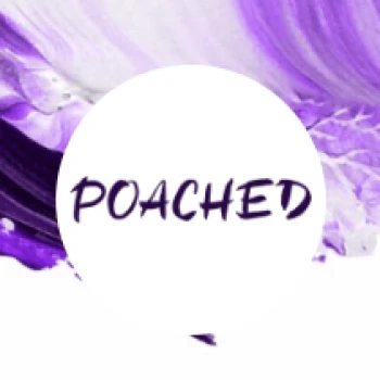 Kick profile picture for @poached