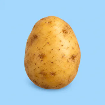 shnyjesse