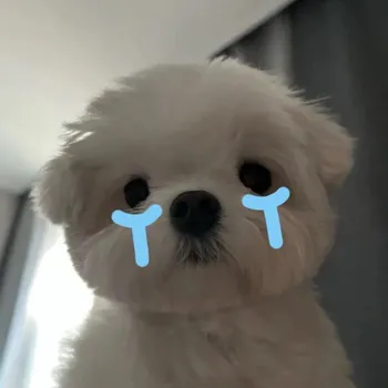luvsuxm