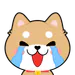 kao_stb
