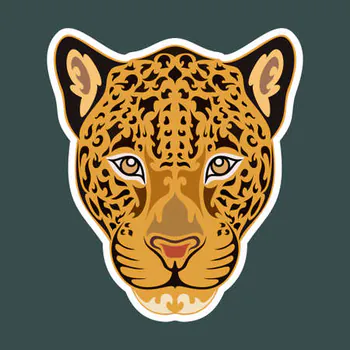 Jaguarr2