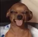 lil_PR_BOI