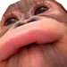 nantg