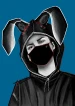 Krolik_Nayebunny