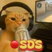 SDSplays