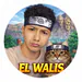 Elwalistv