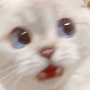 Kick profile picture for @sad_boy
