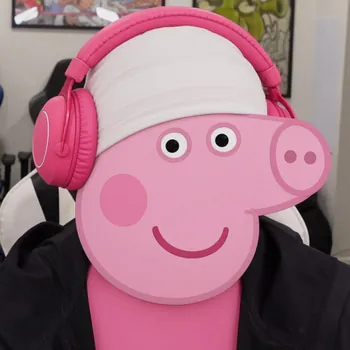 NiBoK