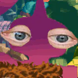 Zaroddi