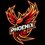 PforPhoenix Kick