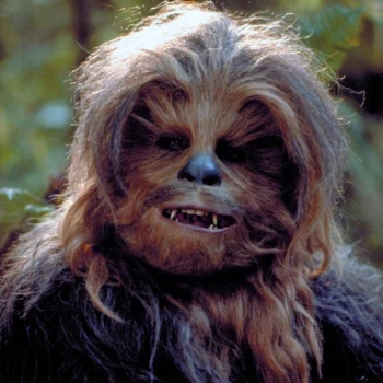 ChewbaccaObrabo
