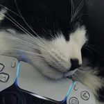 aminnyx