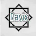 Revix_1s