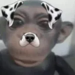 nebulizadorgo