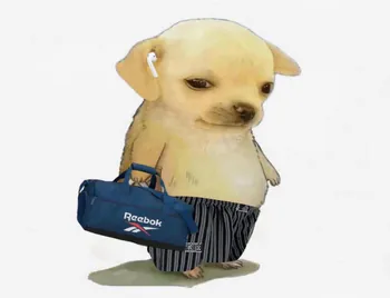 GYnzo