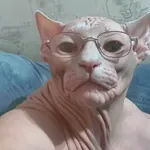 rqltz_brawlstars profile picture