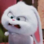PlengrukCNX profile picture