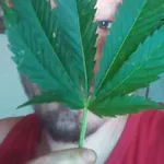 FreakkRed666