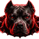RuanPitbull Kick