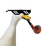 YoItsMrDuckYT