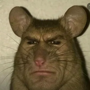 PATEPERRO_0