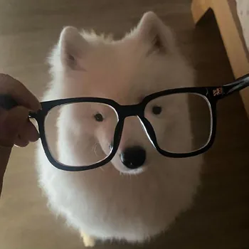00wutto00