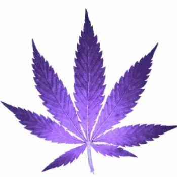 Tehkushmodz