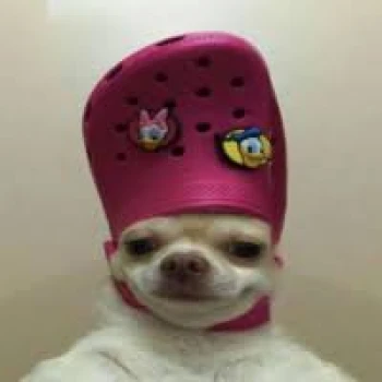Vock