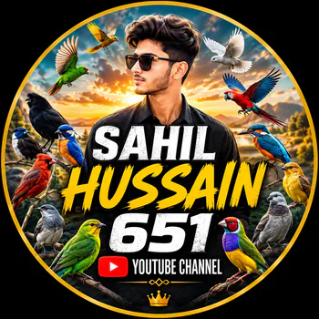 sahilhussain651