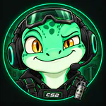 plati_cs2 Kick