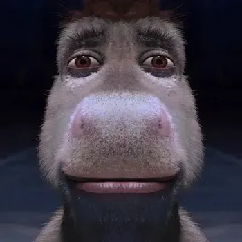 DonkeyDee