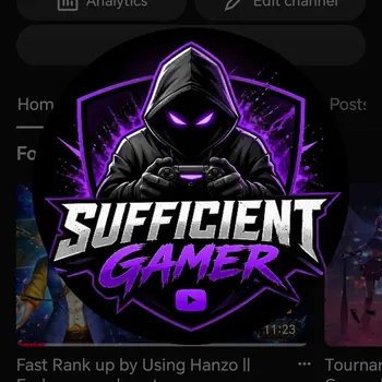 Sufficient_Gamer