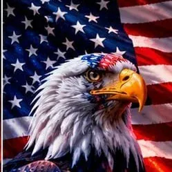 usaking346