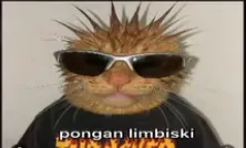 coslar_lv