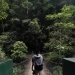Renato_Palacios
