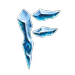 Frost