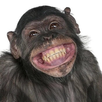 Kick profile picture for @ovens