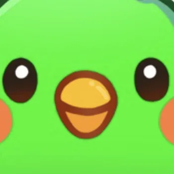 luckybearaikoo