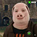 olhaJP