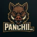Panchii_1